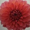 carly09149